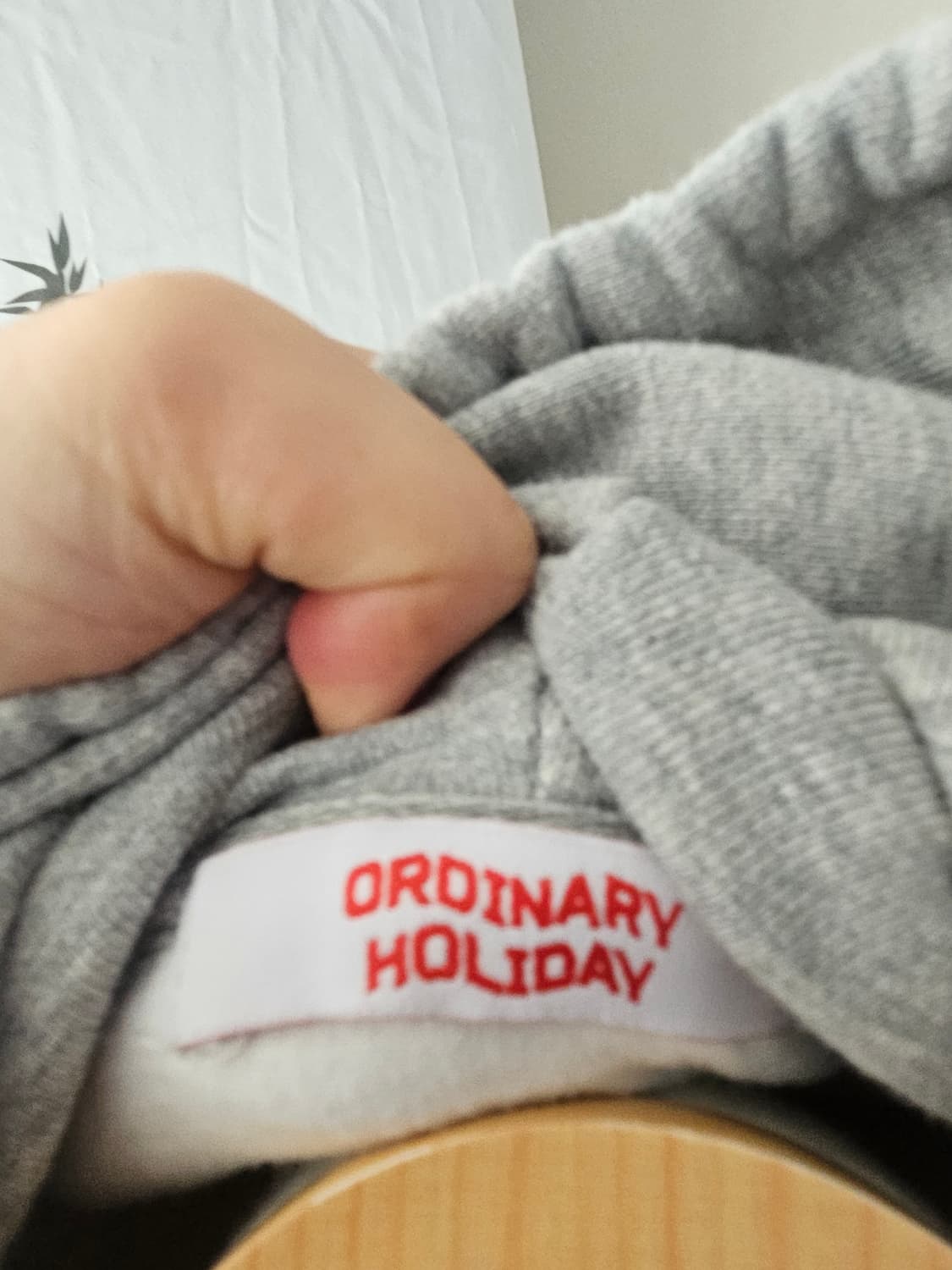 오디너리 홀리데이 레이어드 크롭후드티 상품이미지3