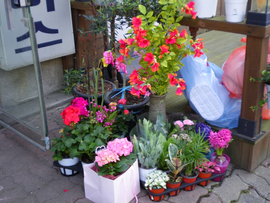 작례 있음💗 희귀!!) Pentax Optio E70 ⭐️ 상품이미지6