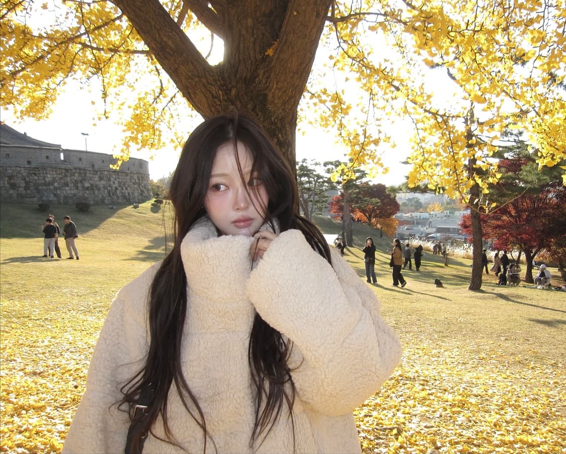 캐논 익서스 110 is 디카 (카리나 디지털카메라) 상품이미지5