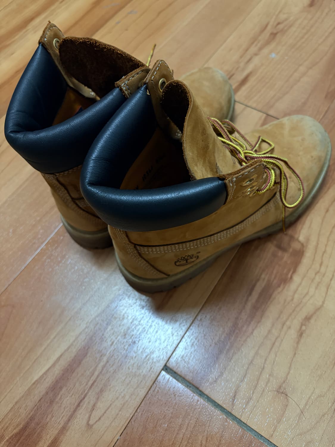 [8W] Timberland 팀버랜드 6인치 상품이미지4