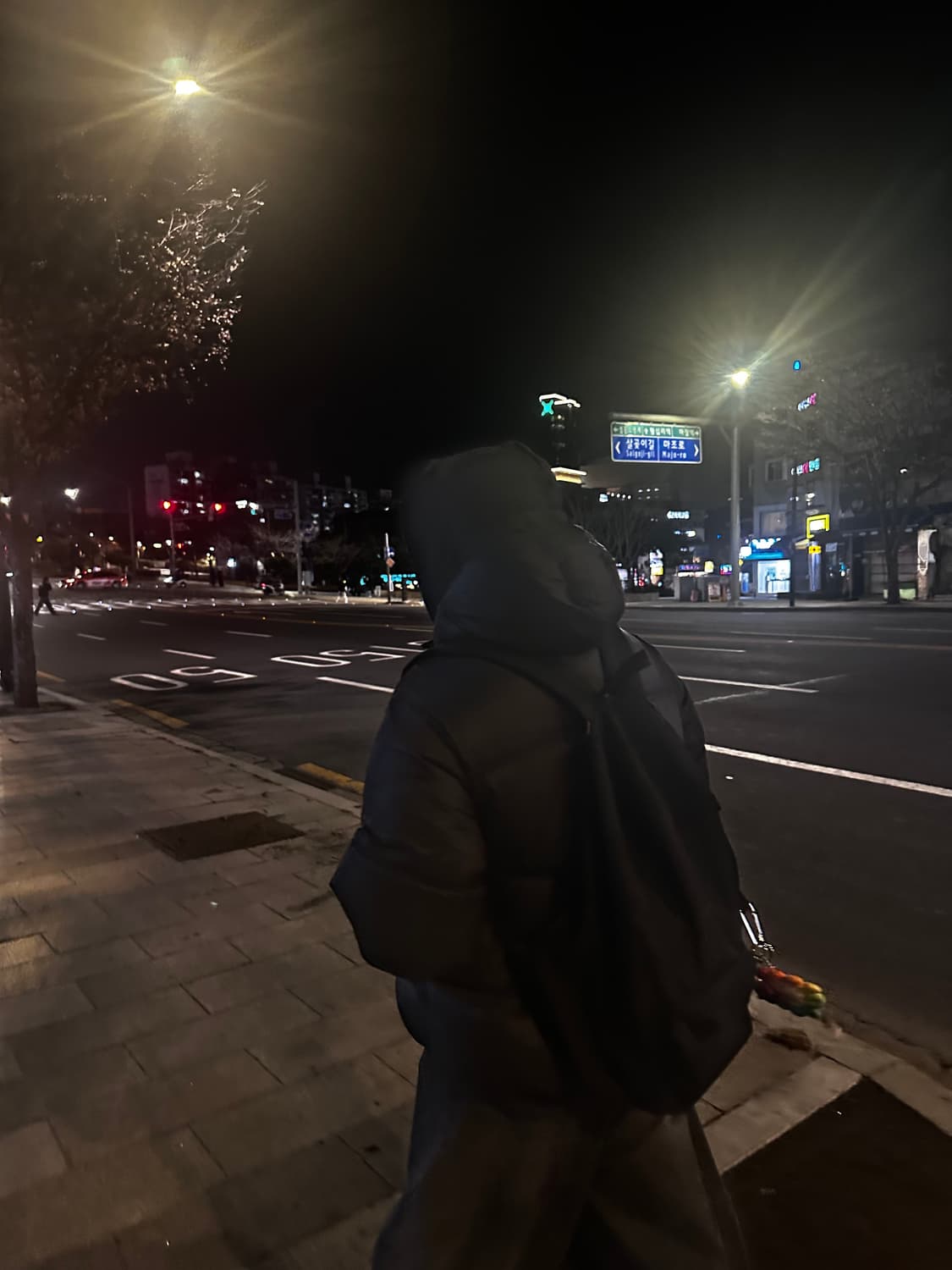 Suede 패딩 L사이즈 (105-110) 상품이미지5