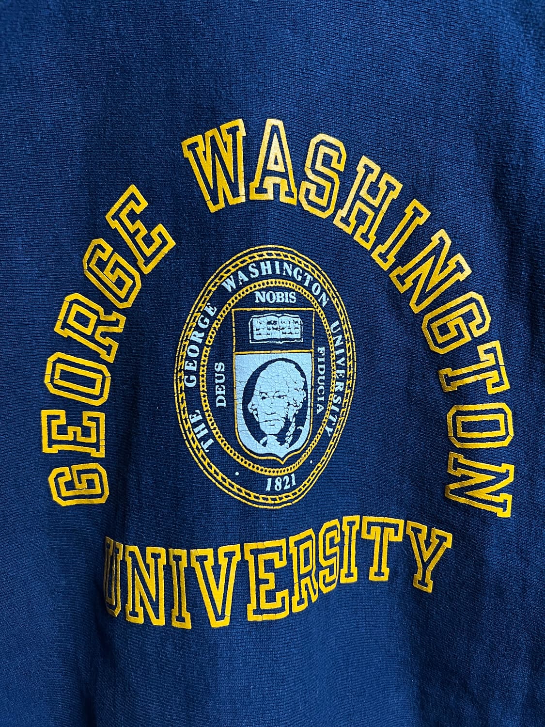 빈티지 90s 챔피온 조지 워싱턴 스웻셔츠 상품이미지3