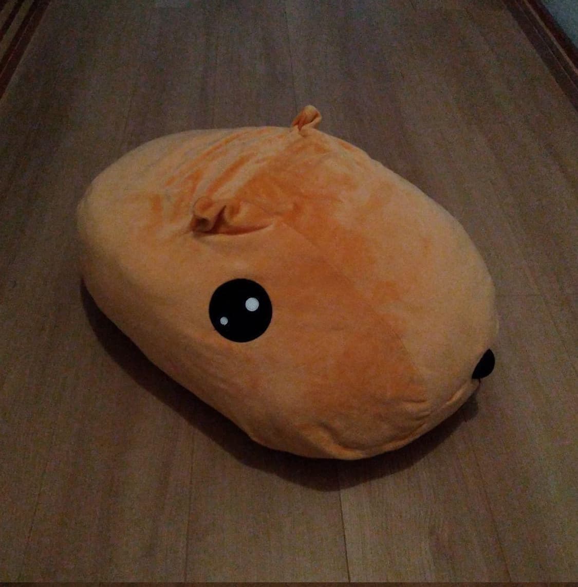 카피바라상 60cm 대형 인형 정품 상품이미지1