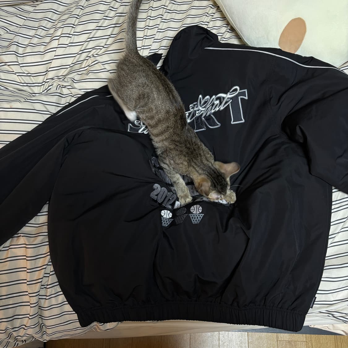 디스이즈네버댓 바시티 자켓(L) 상품이미지3