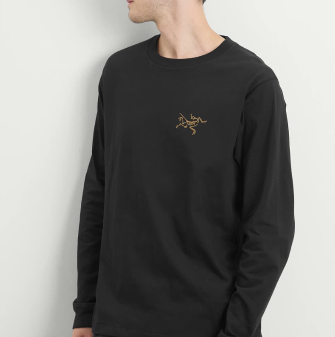 [S,M,XXL] 아크테릭스 크래그 코튼 롱슬리브 티셔츠 24K 블랙 상품이미지4