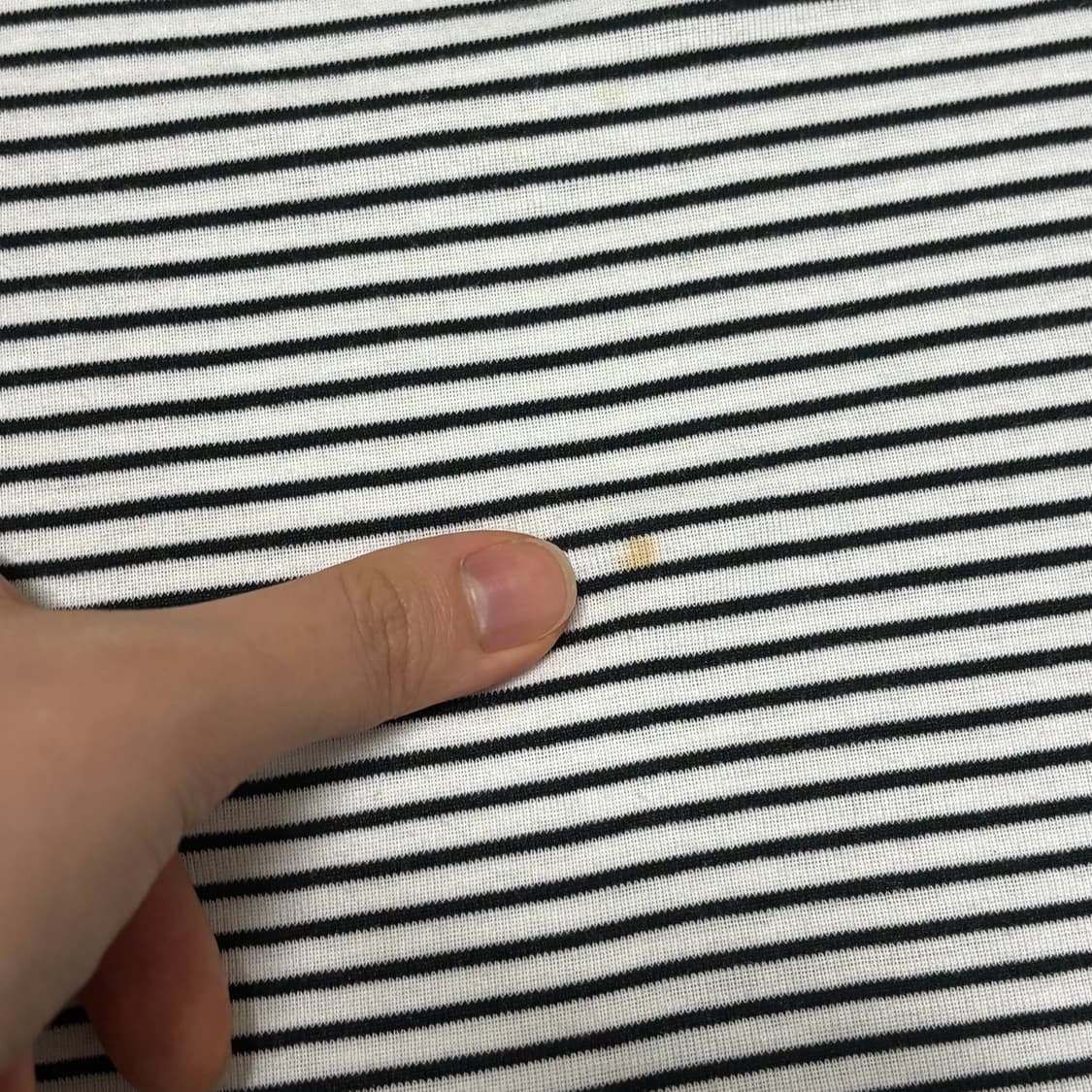판매예정) 버버리 블루라벨 단가라 퍼프 소매 반소매 반팔 티셔츠 공겜여주 상품이미지6