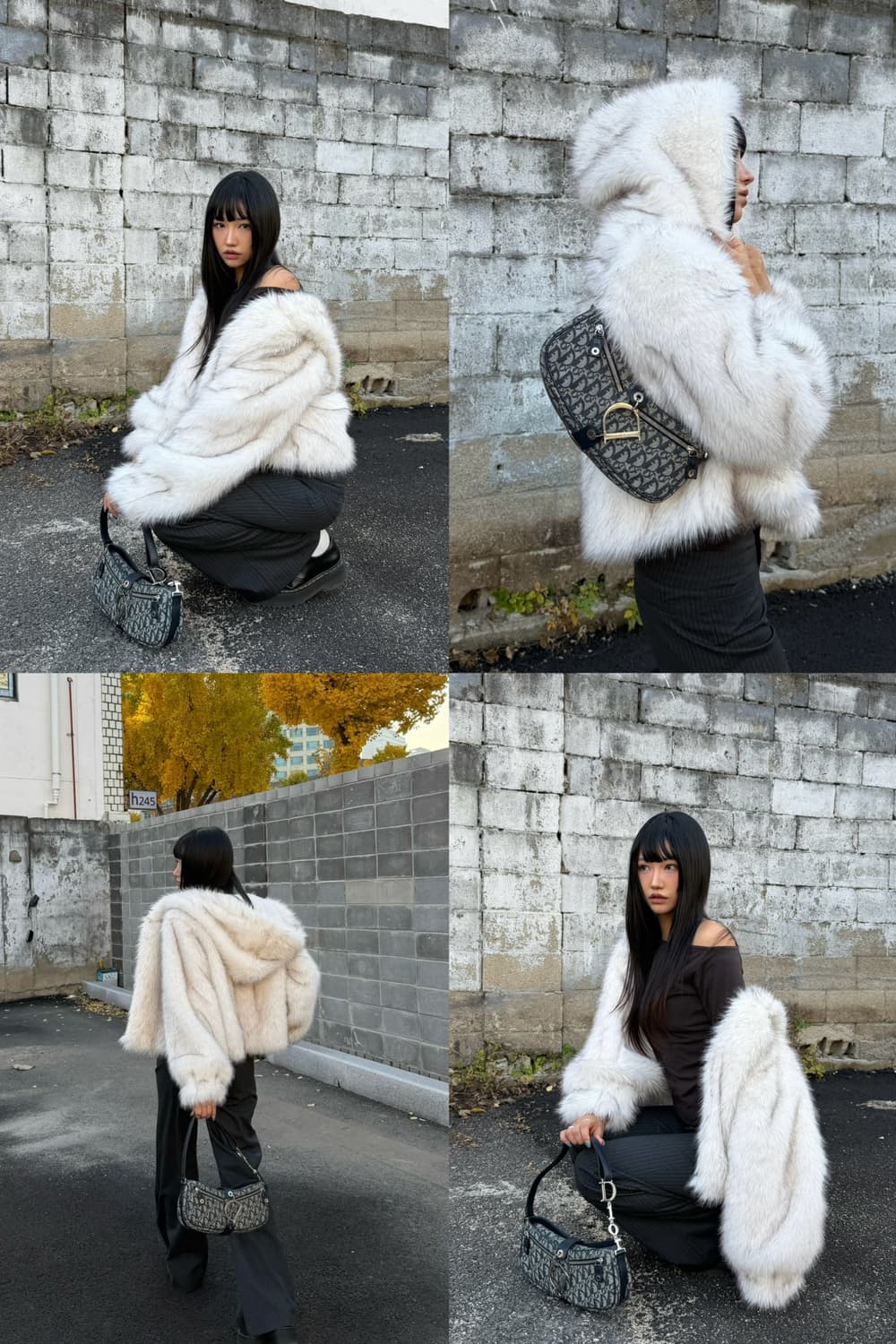 디올 오블리크 디링 새들백 상품이미지2