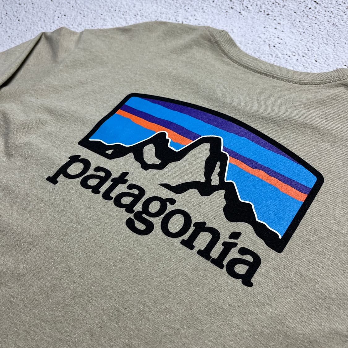 Patagonia Long-Sleeved P-6 Logo Tee 상품이미지6