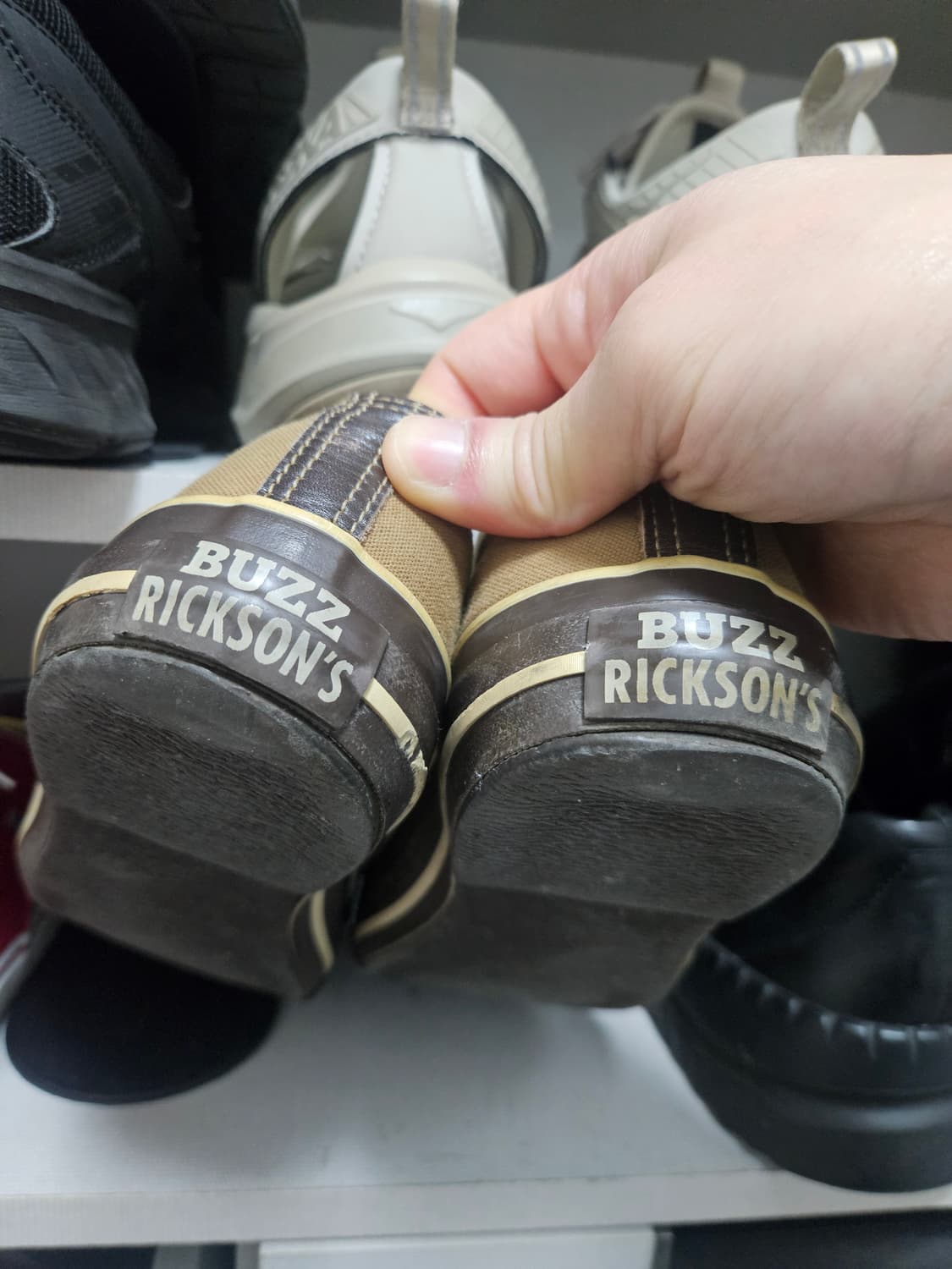 버즈릭슨 컨버스 260 상품이미지4