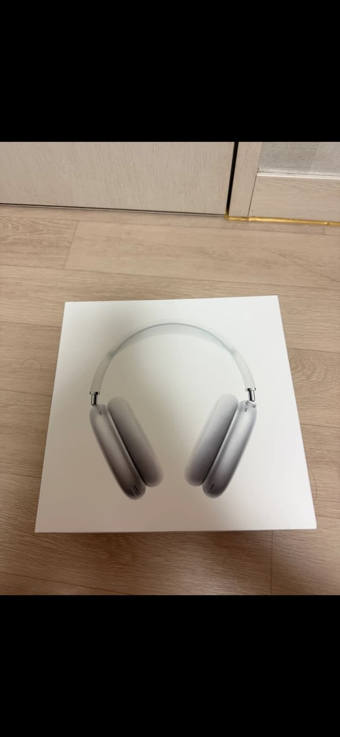 애플 에어팟 맥스 실버 상품이미지1