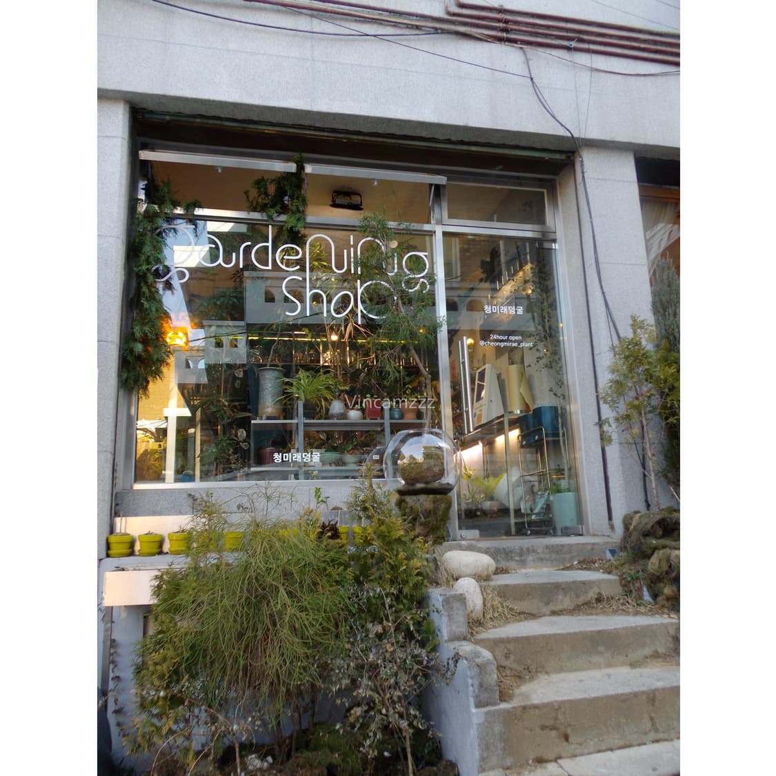 Pentax 펜탁스 옵티오 Optio VS20 디지털 카메라 상품이미지5