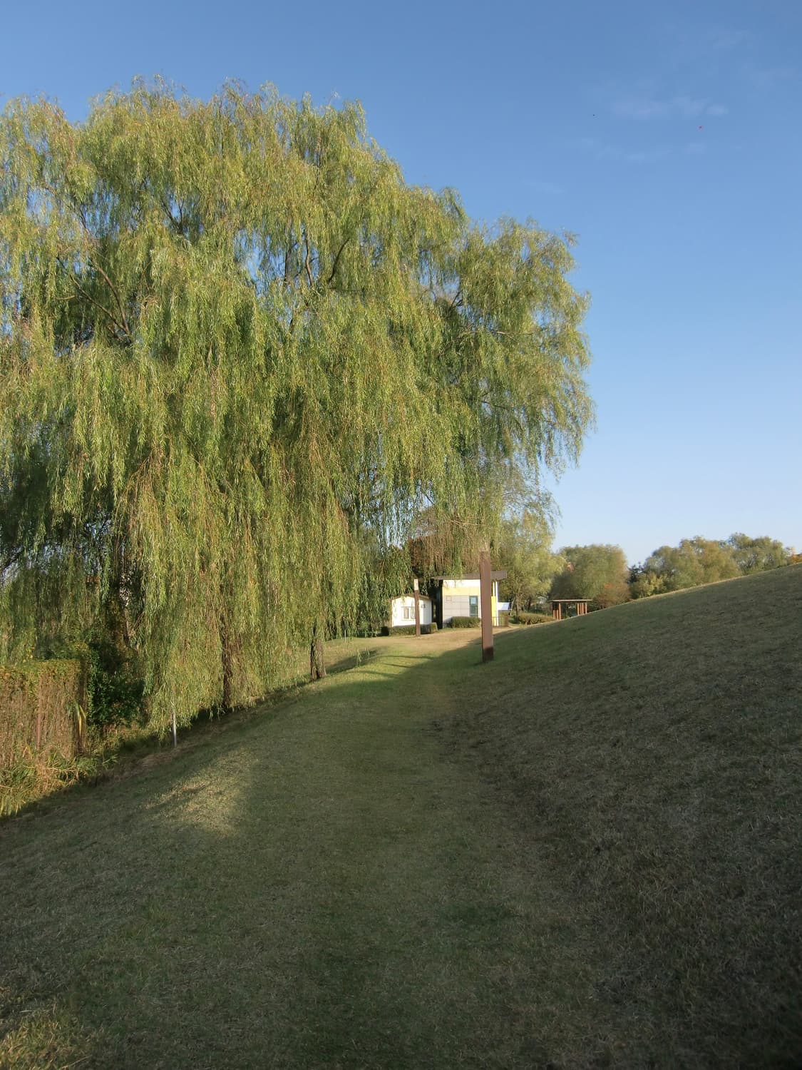 exilim h10 상품이미지4