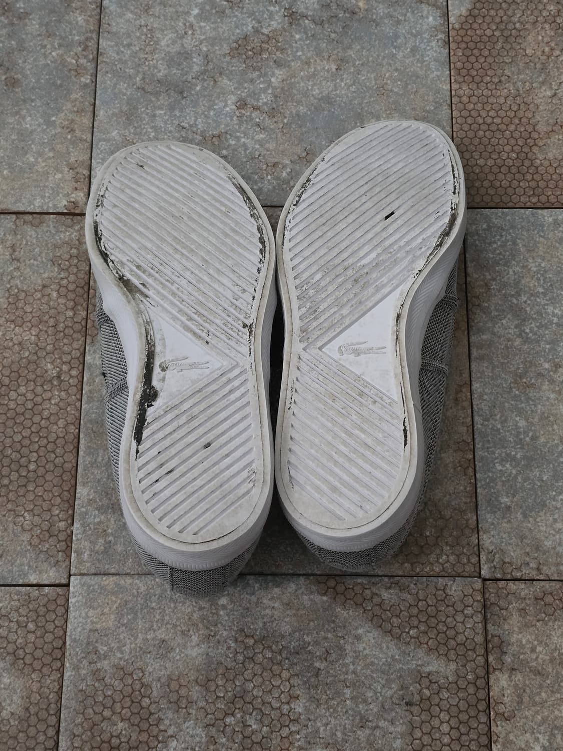 (230)라코스테 가존 스포츠 그레이 슬립온  상품이미지10