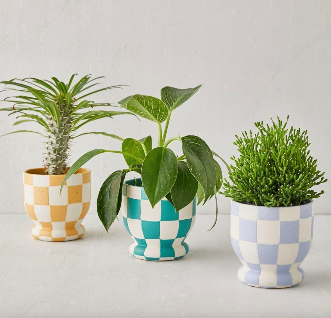 (새상품) 체크 화분 토기 상품이미지1