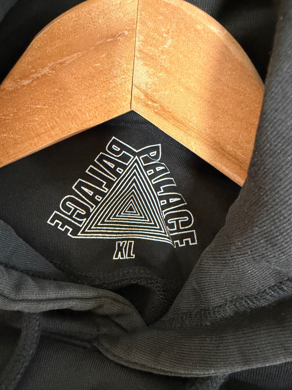 [XL] 팔라스 뇌하수체 후드티 상품이미지4