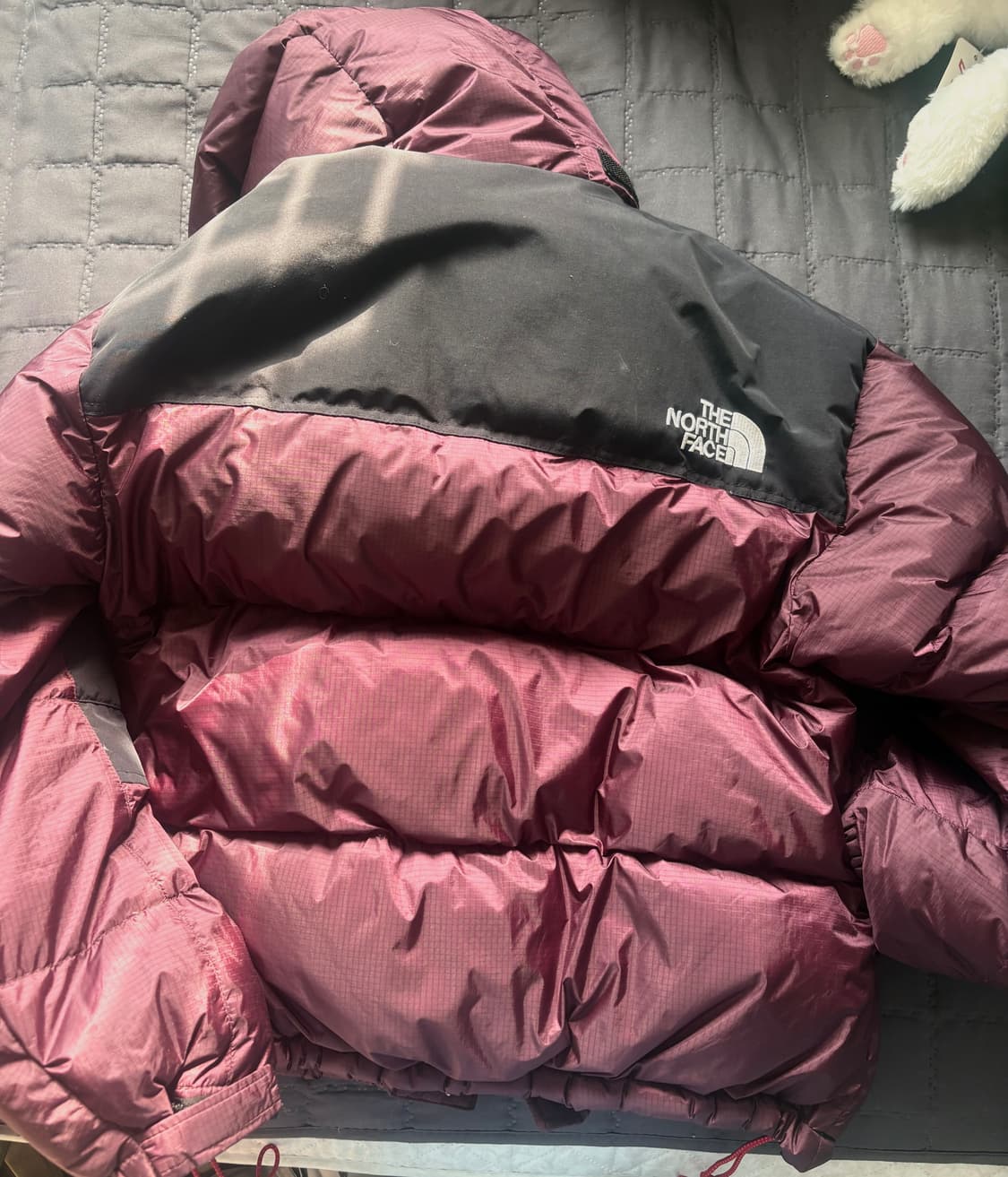 노스페이스 써밋시리즈 700 구스다운 패딩 상품이미지2