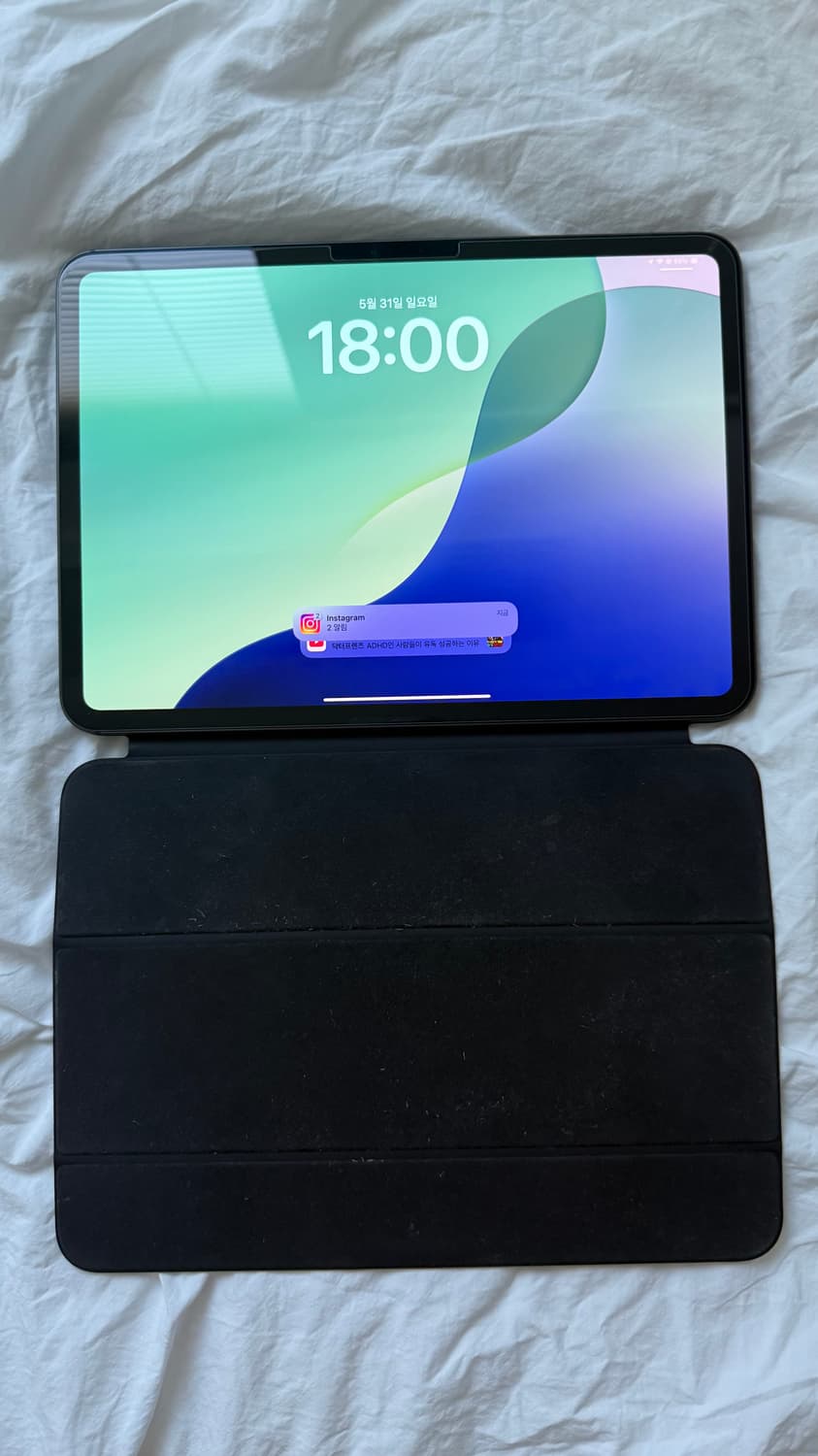 아이패드 프로 m4 1tb wifi 11인치 상품이미지1