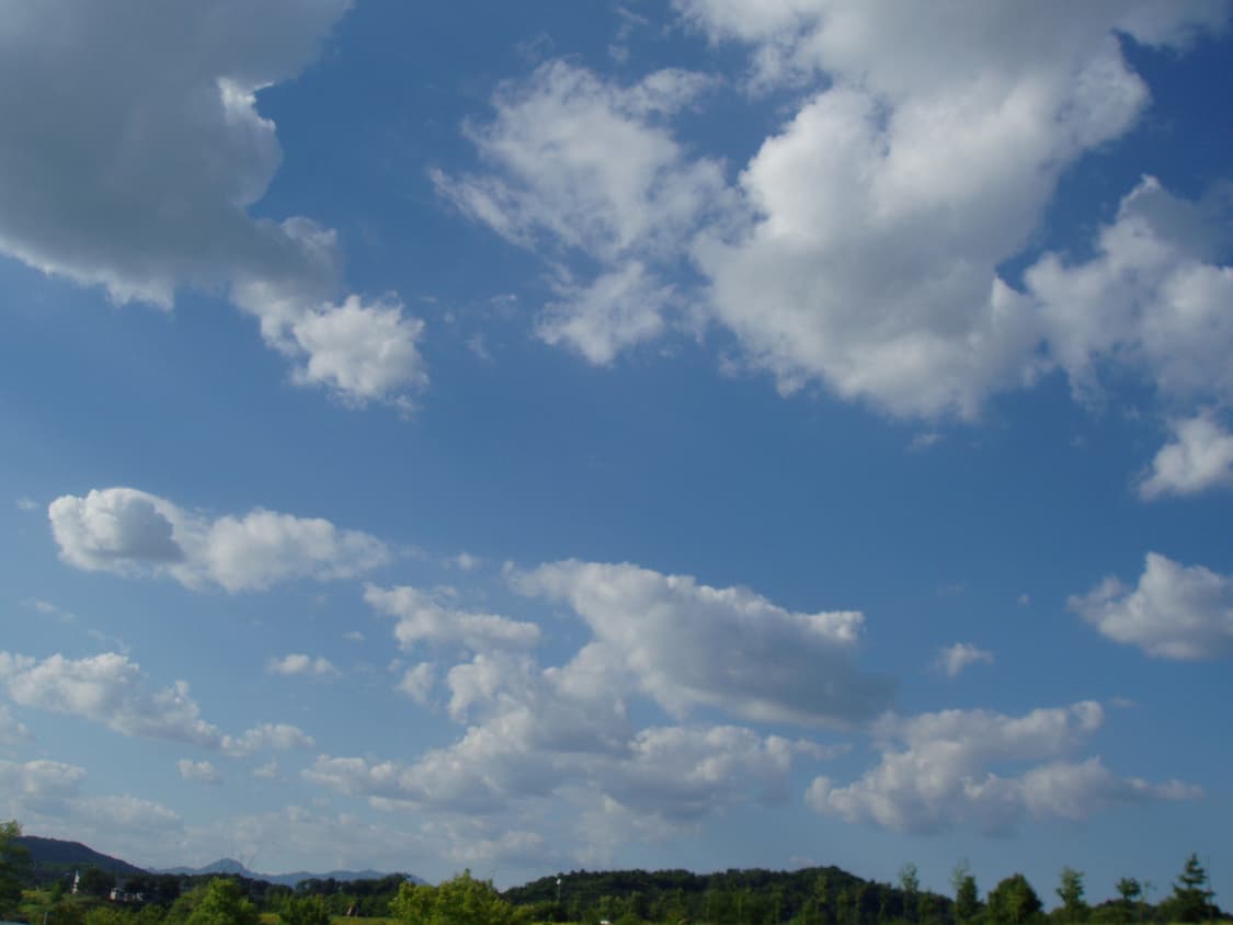 olympus camedia x1 실버 상품이미지3