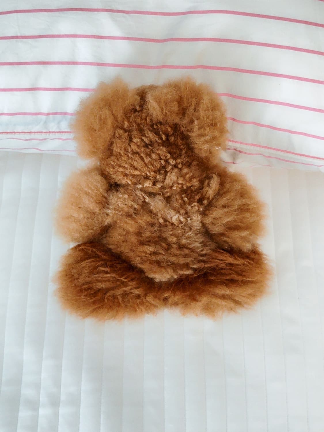 M 25cm)아르떼 알파카 테디베어 곰인형 브라운 상품이미지2