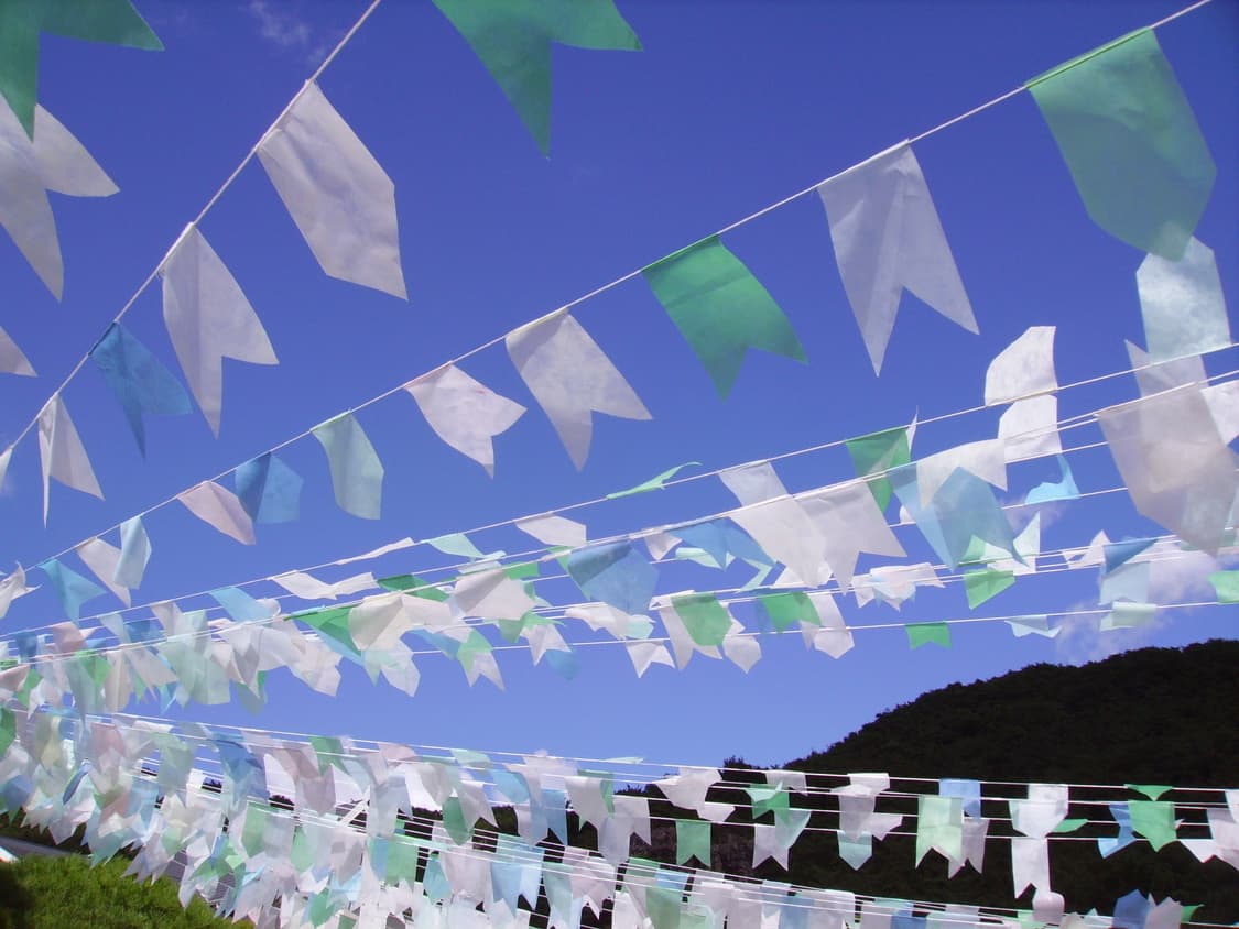 펜탁스 옵티오 50L 디카 (작례O) 상품이미지7