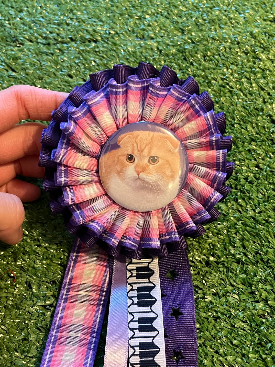 네이비 도트 프릴 바지 + 냥 로제트 세트 🐱 상품이미지5