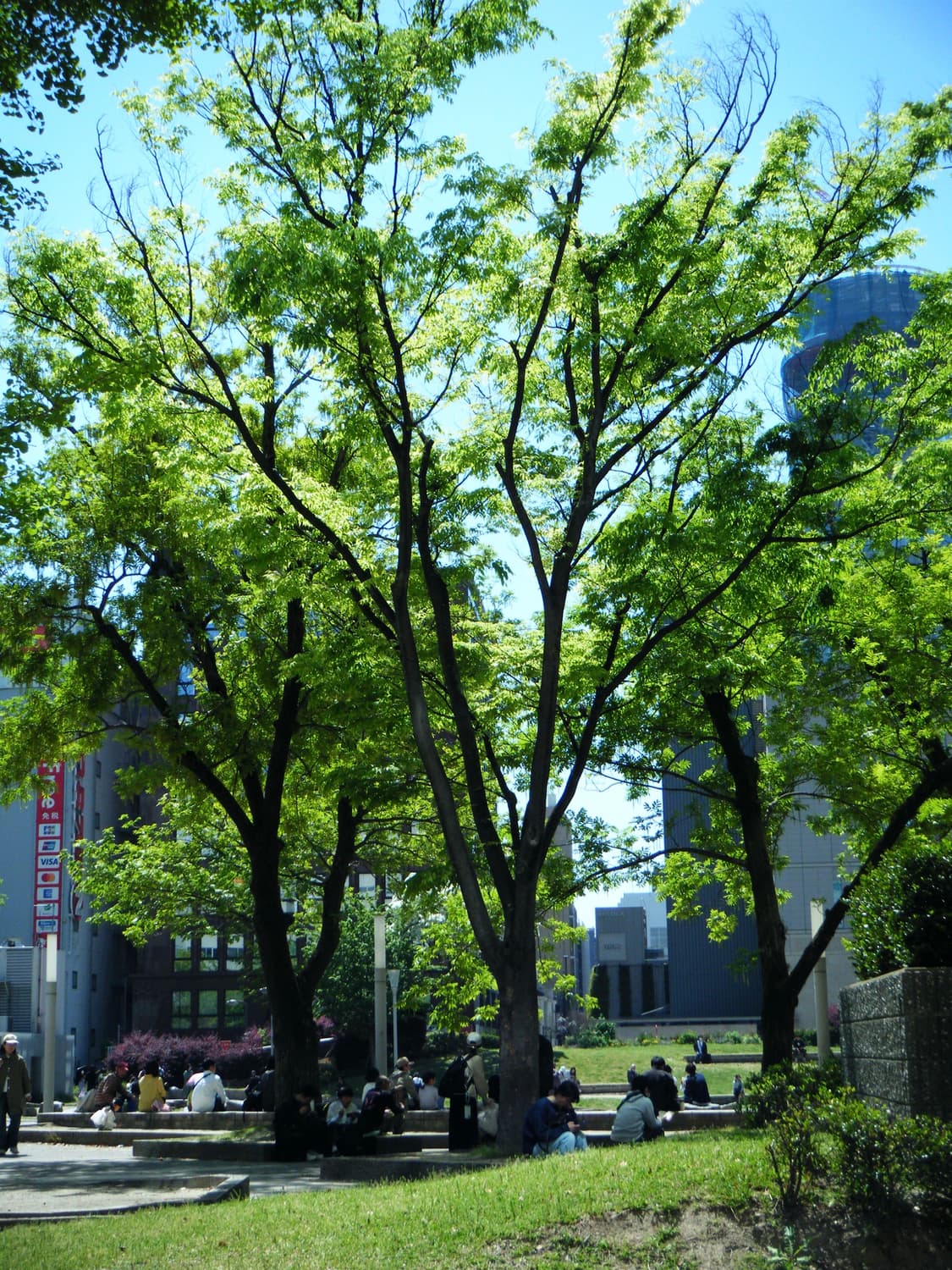 파인픽스 Z30 상품이미지4