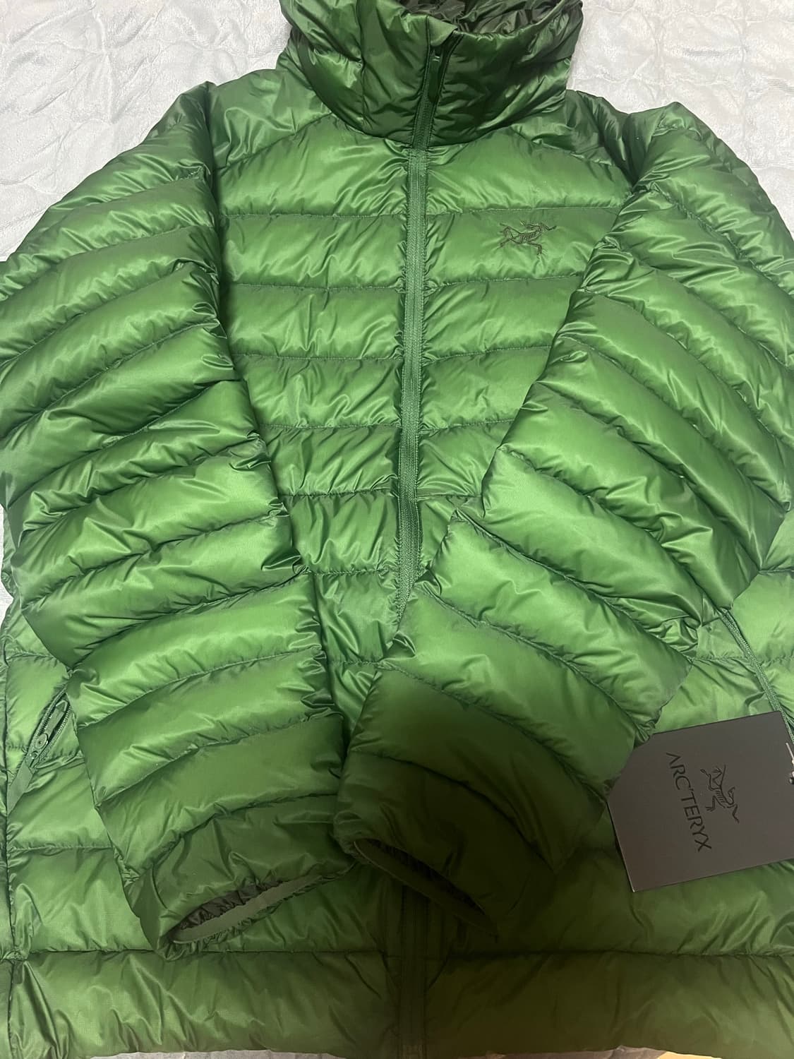 아크테릭스 세륨 후디 에덴 상품이미지2