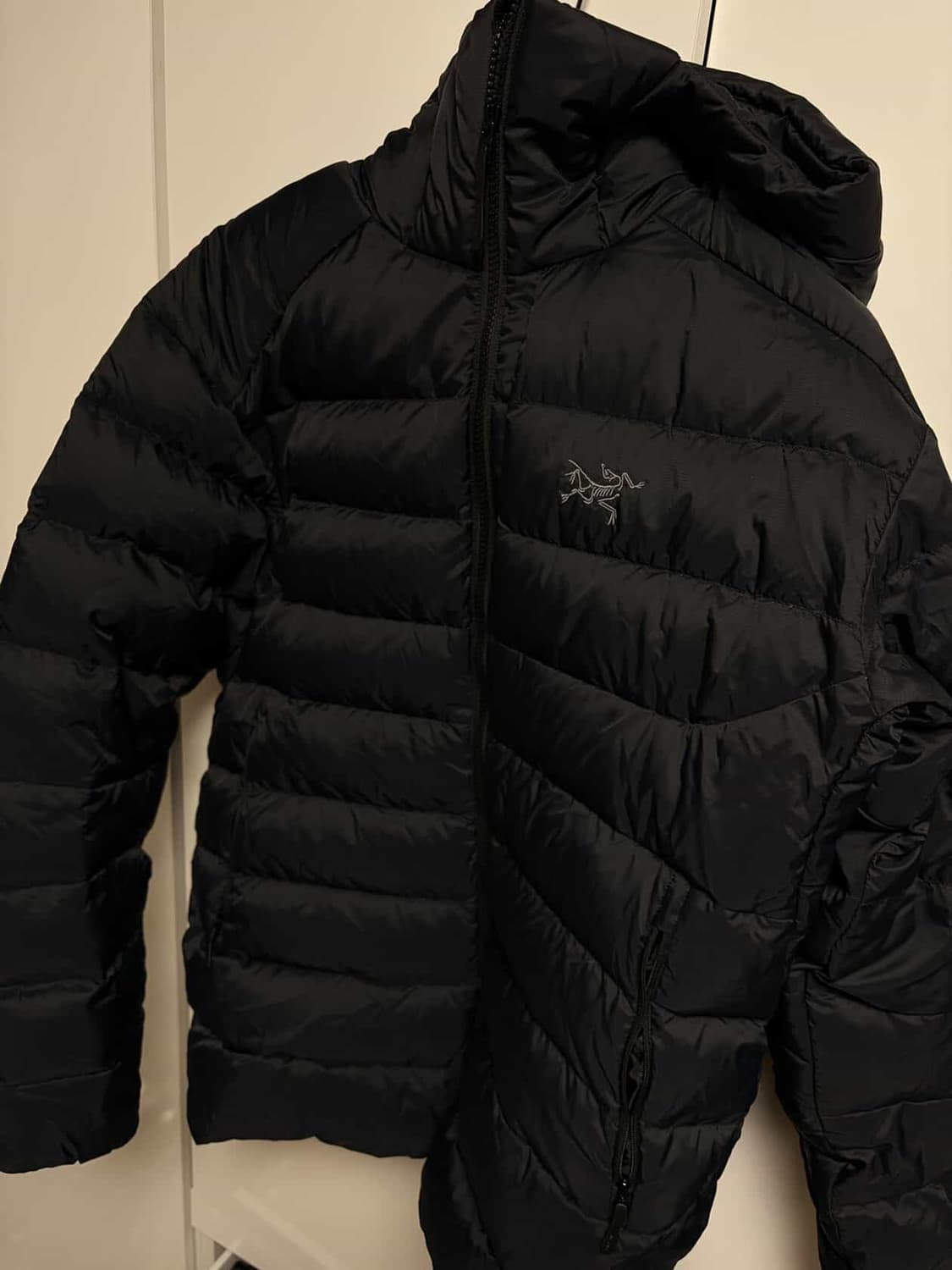 아크테릭스 토륨 후디 상품이미지3