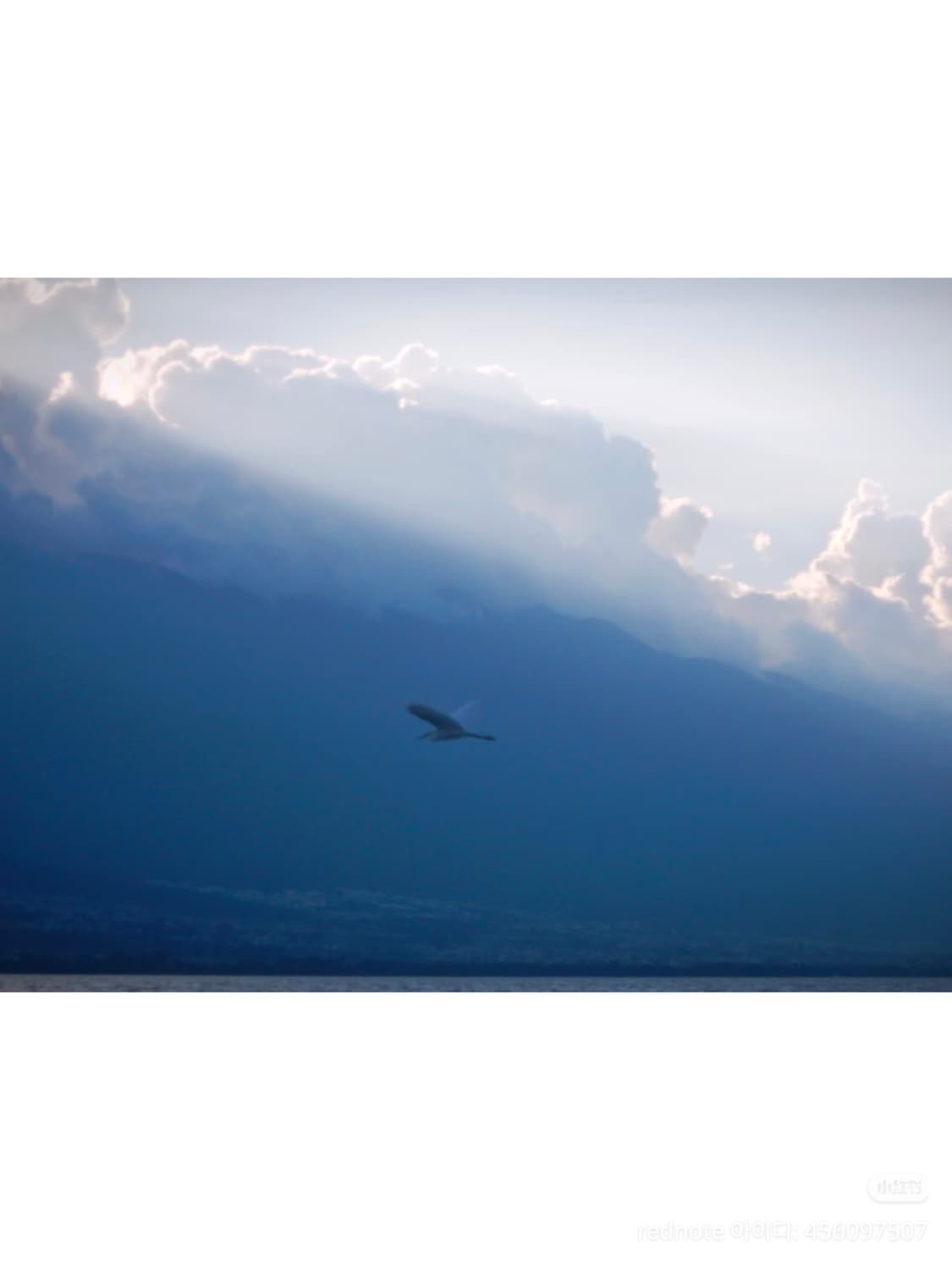 (희귀매물)니콘 쿨픽스 aw120 카모플라쥬 Nikon Coolpix a 상품이미지5