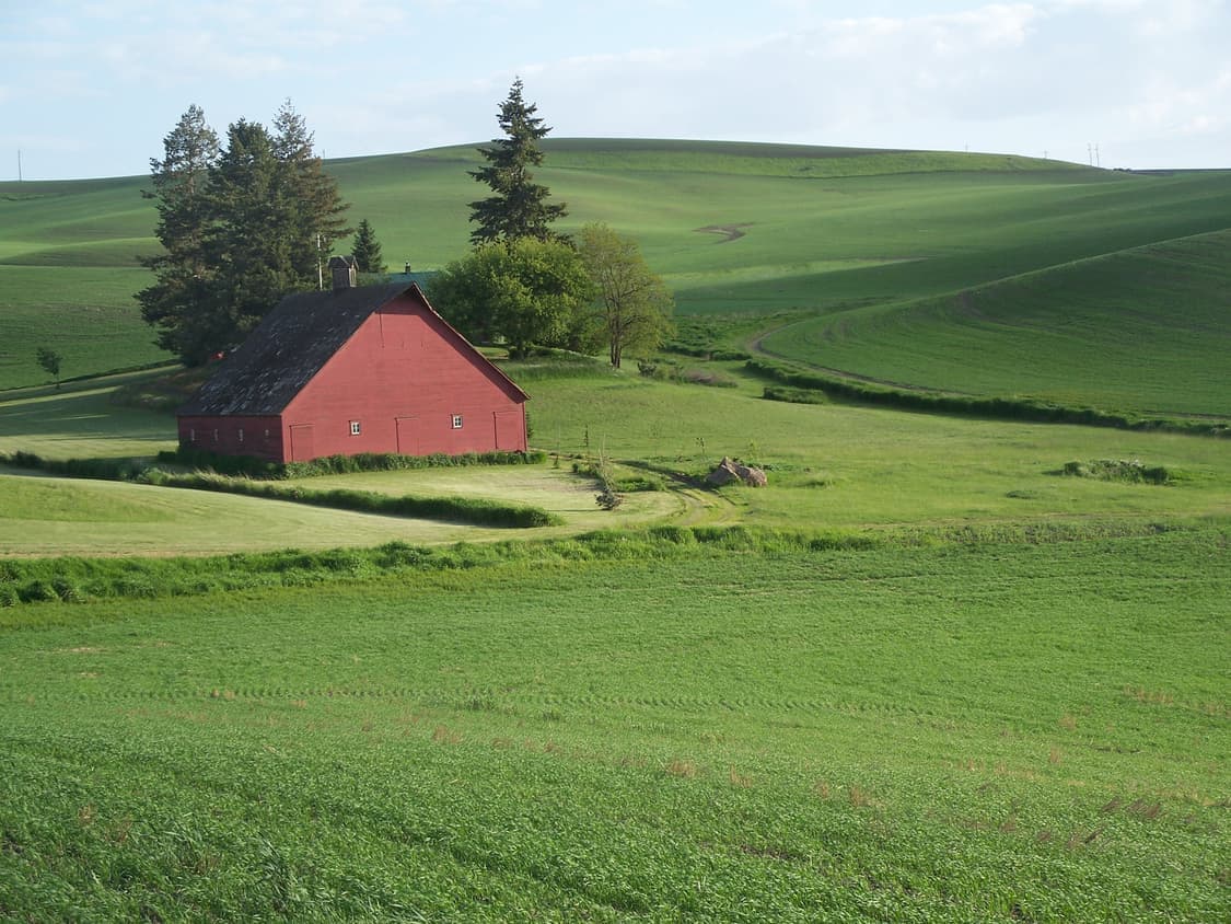 사나pick✧･ﾟKodak easyshare c875 코닥 이지쉐어 디카 상품이미지3