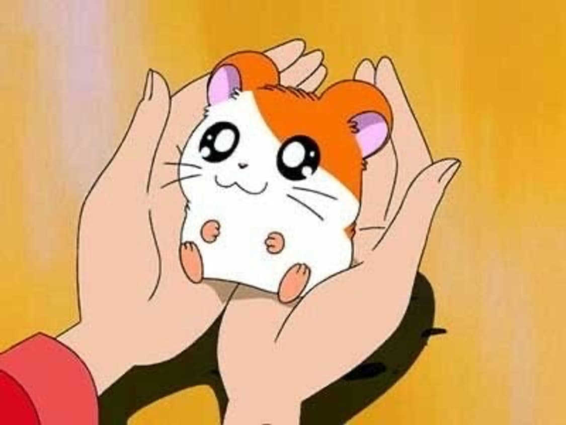 개인결제창 상품이미지1