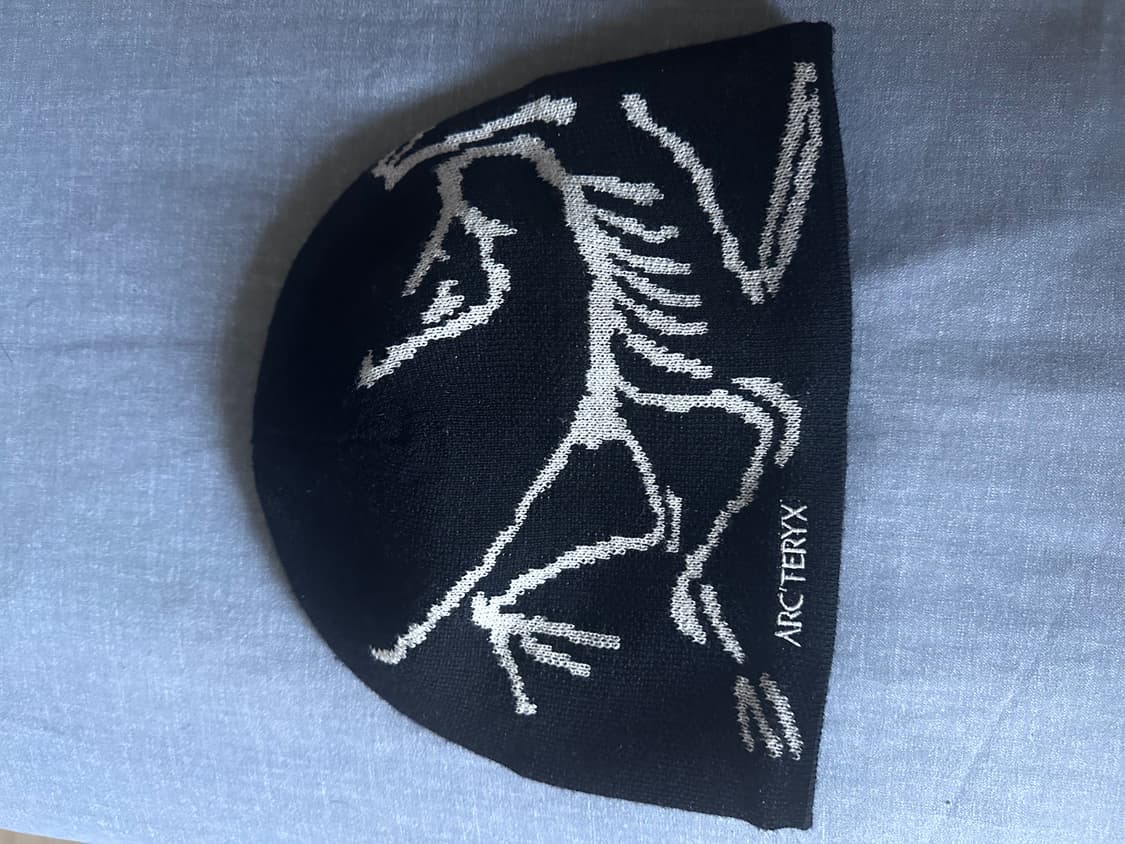 아크테릭스 비니 상품이미지1