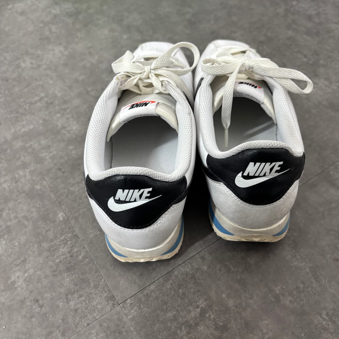 코르테즈 270 상품이미지4