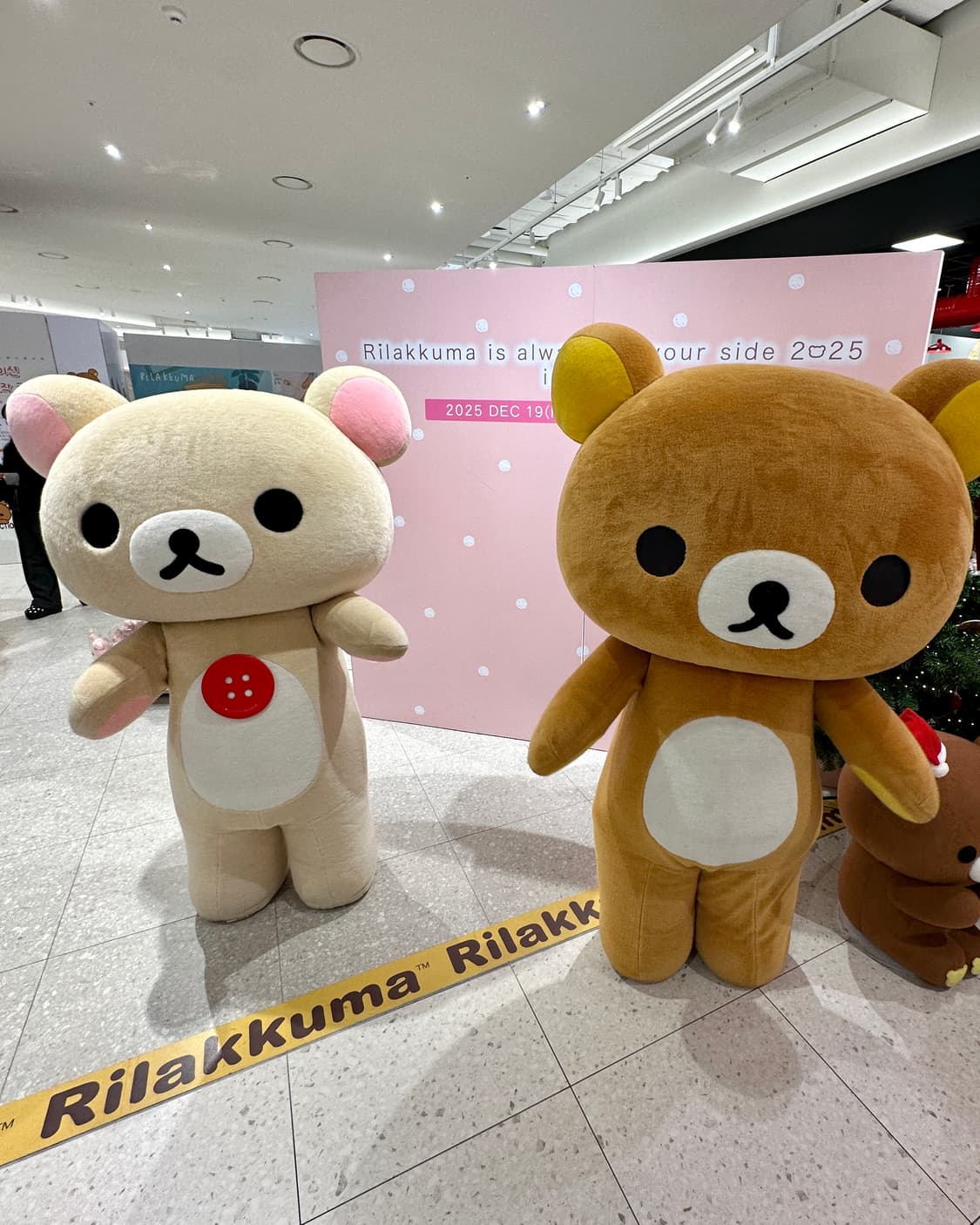 결제창 상품이미지1