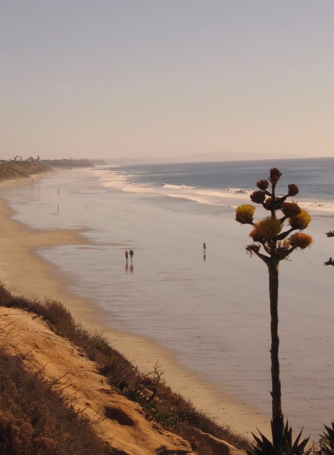 캐논 파워샷 a480 디지털카메라 상품이미지9