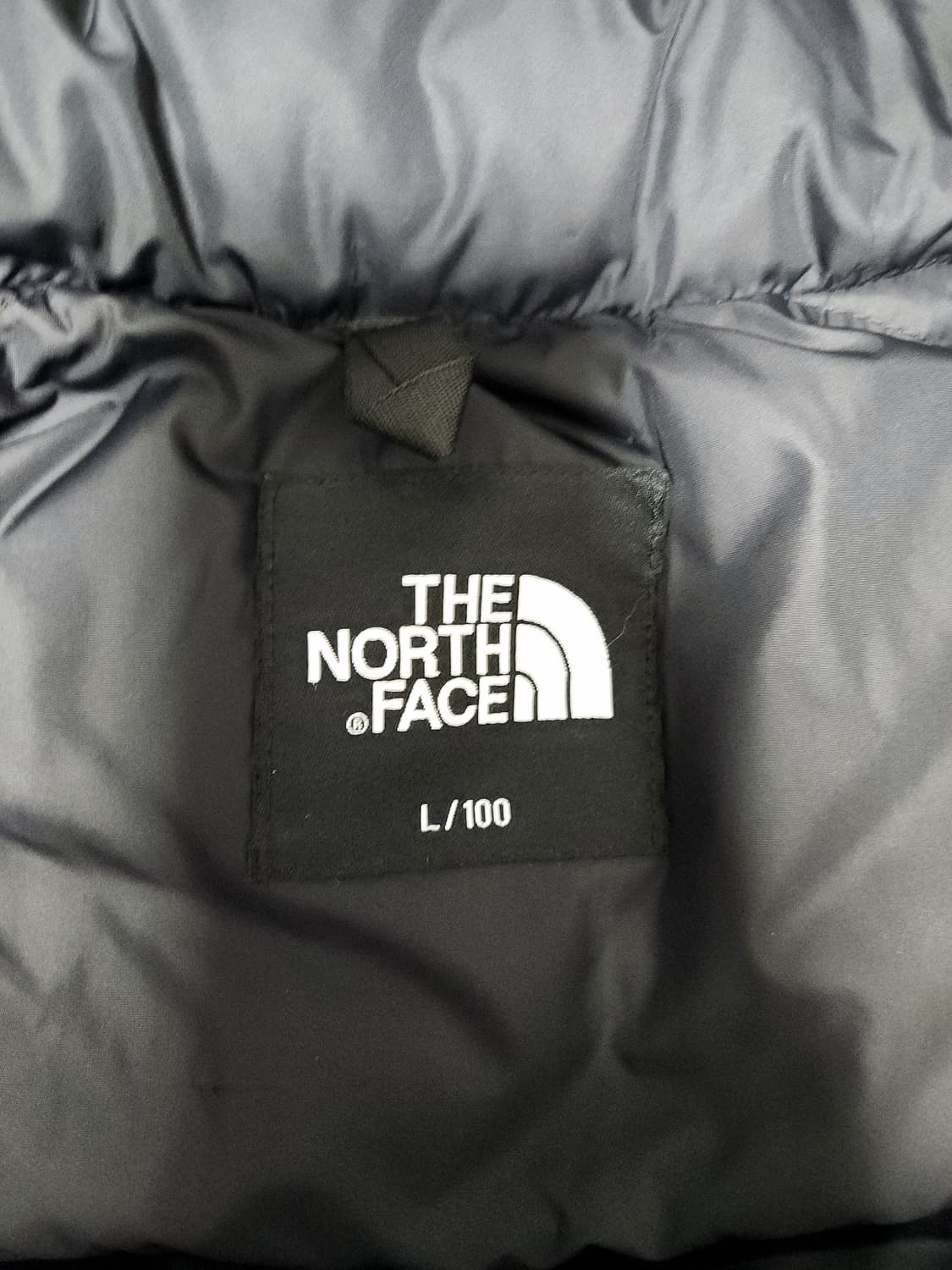 노스페이스 1996에코 눕시 L (NJ1DP75A) 상품이미지4