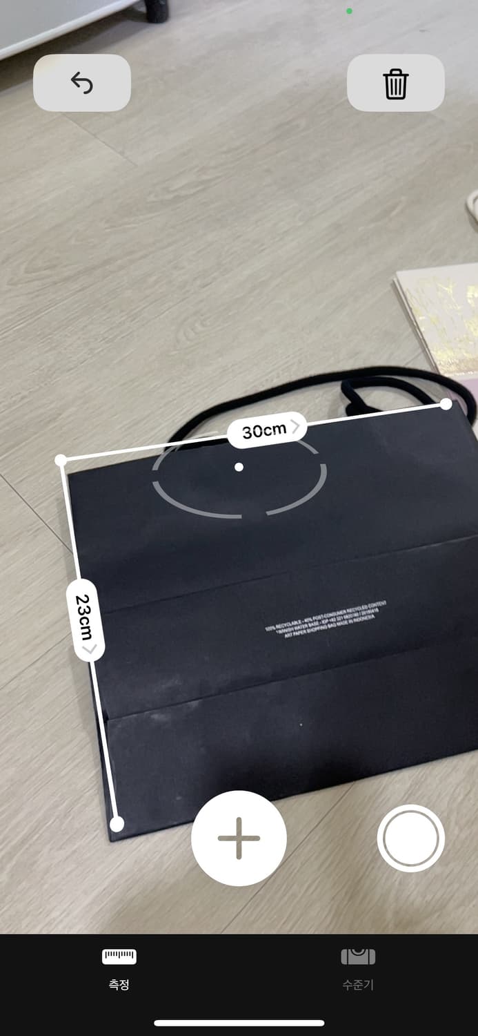 샤넬, 디올 쇼핑백 상품이미지2