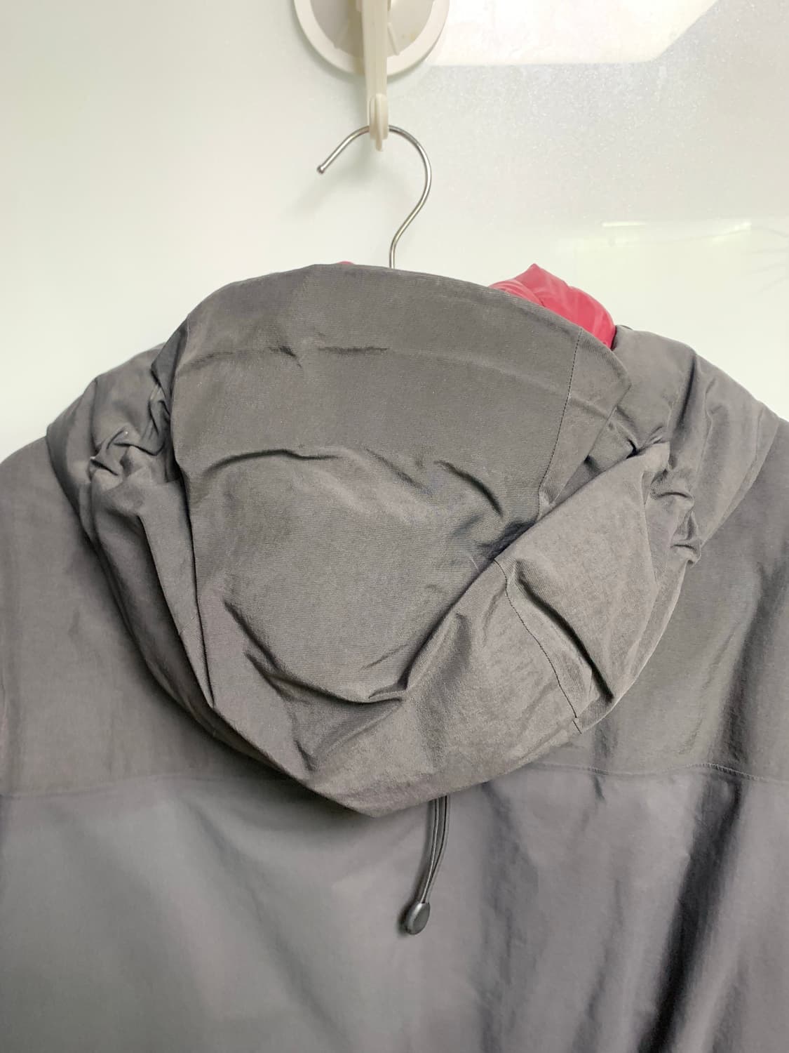 아크테릭스 카파 후디 상품이미지4