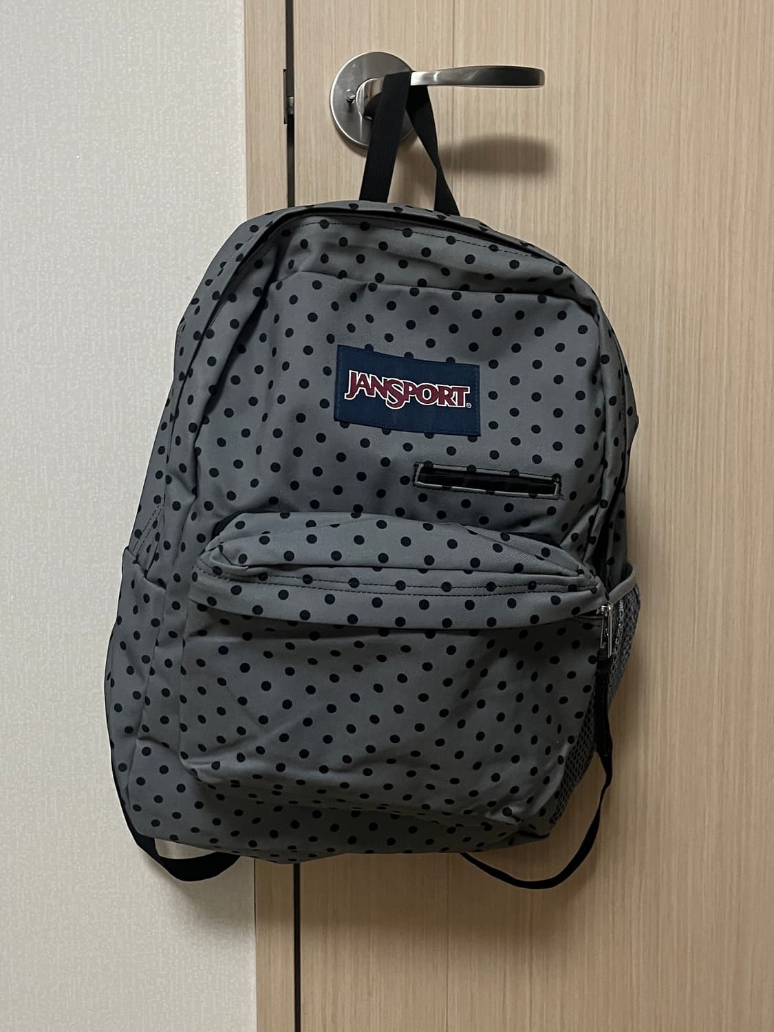 Jansport dot backpack 잔스포츠 도트 백팩 상품이미지1