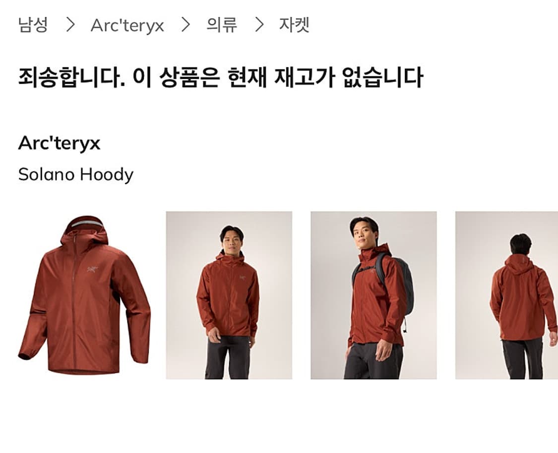 110) 아크테릭스 신형 솔라노 후드자켓  상품이미지10