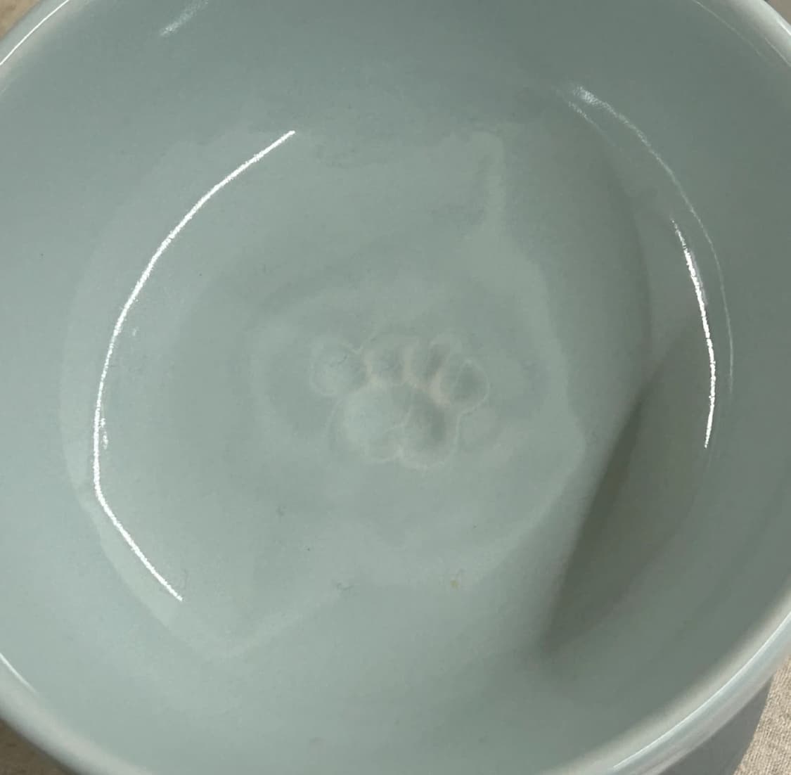 르크루제 펫그릇 - 시솔트 (박스ㅇ) 상품이미지2