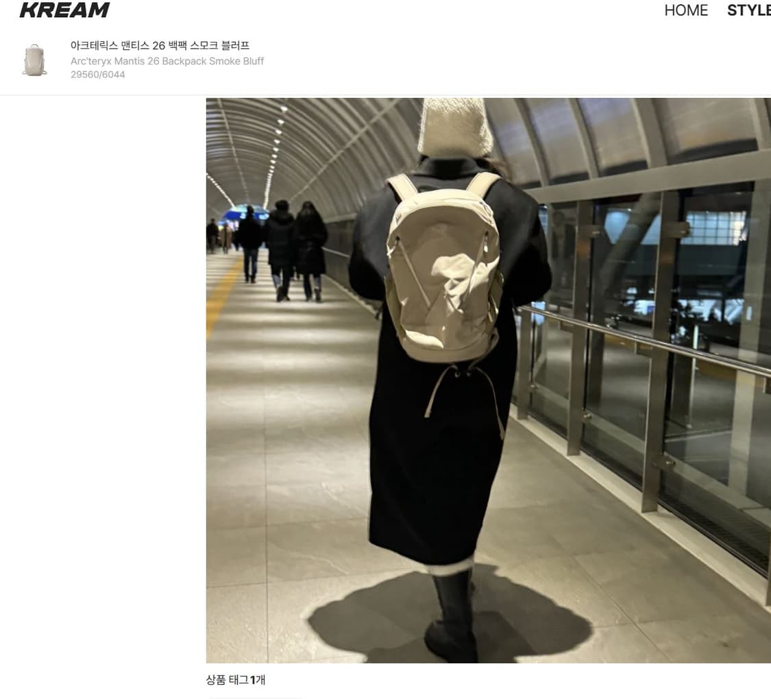 아크테릭스 맨티스 26 백팩 스모크 블러프 상품이미지3