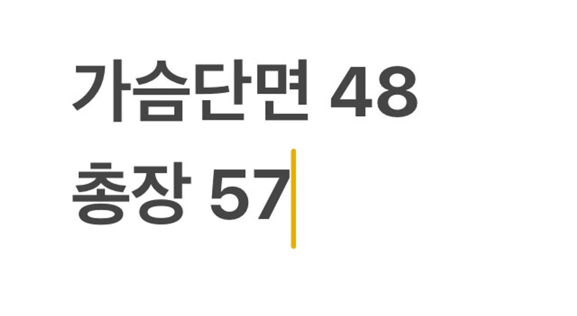 폴로랄프로렌 라이트 그레이 맨투맨 상품이미지5