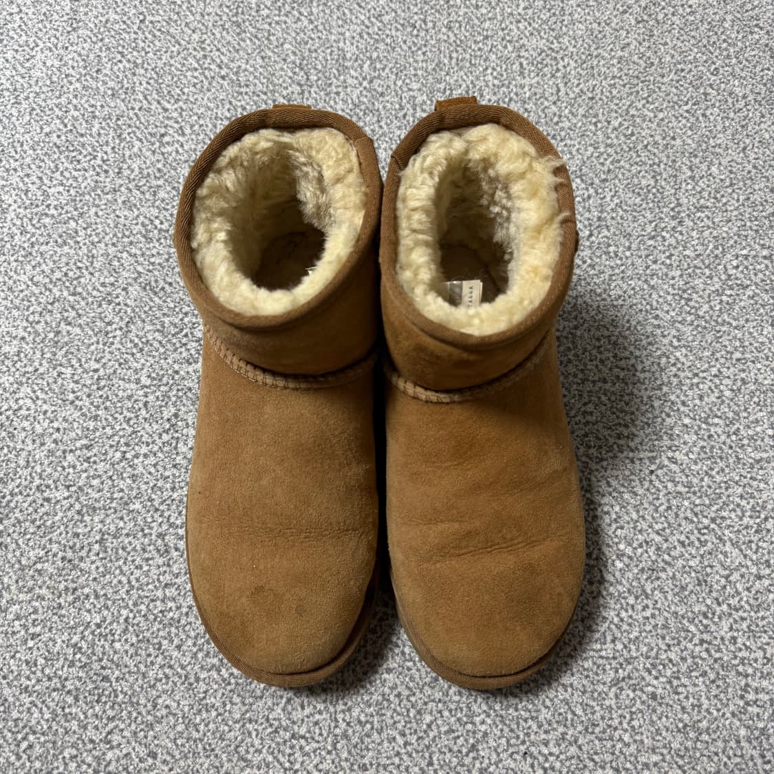 [정가 25만원 정품 UGG] 어그 클래식 미니 230 상품이미지5