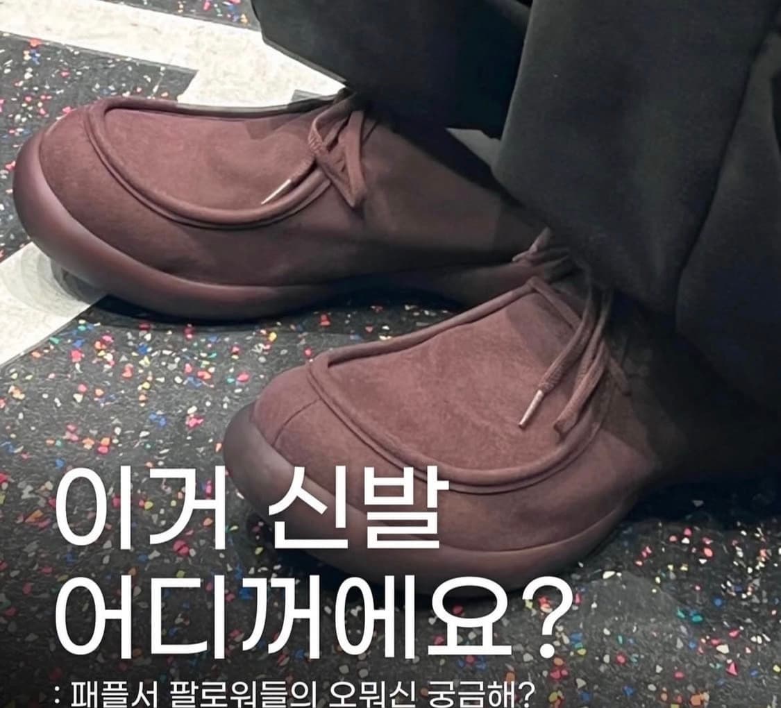 AAO 리게타  상품이미지2