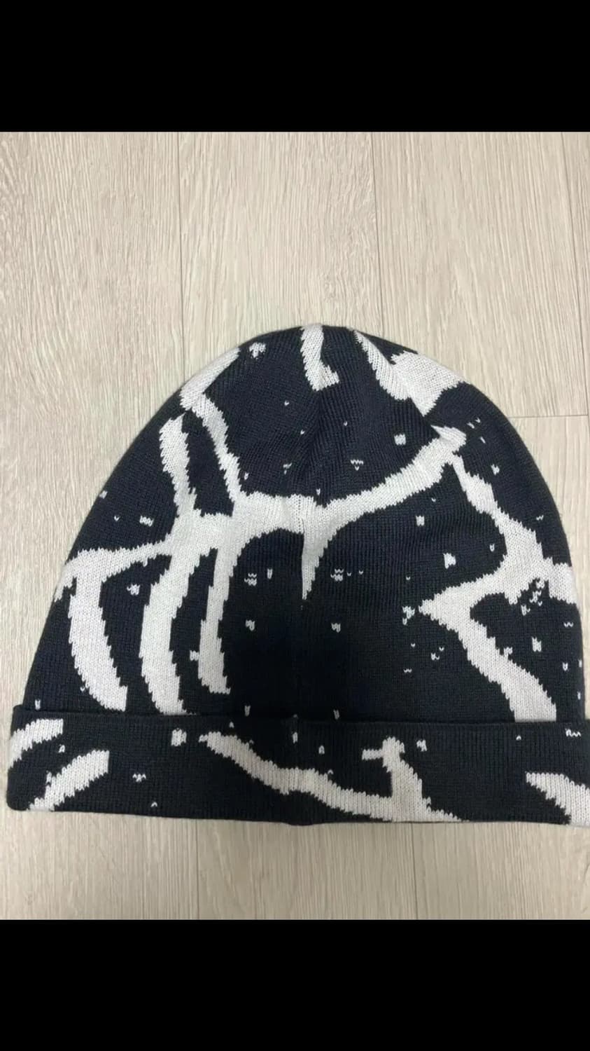 아크테릭스 비니 상품이미지2