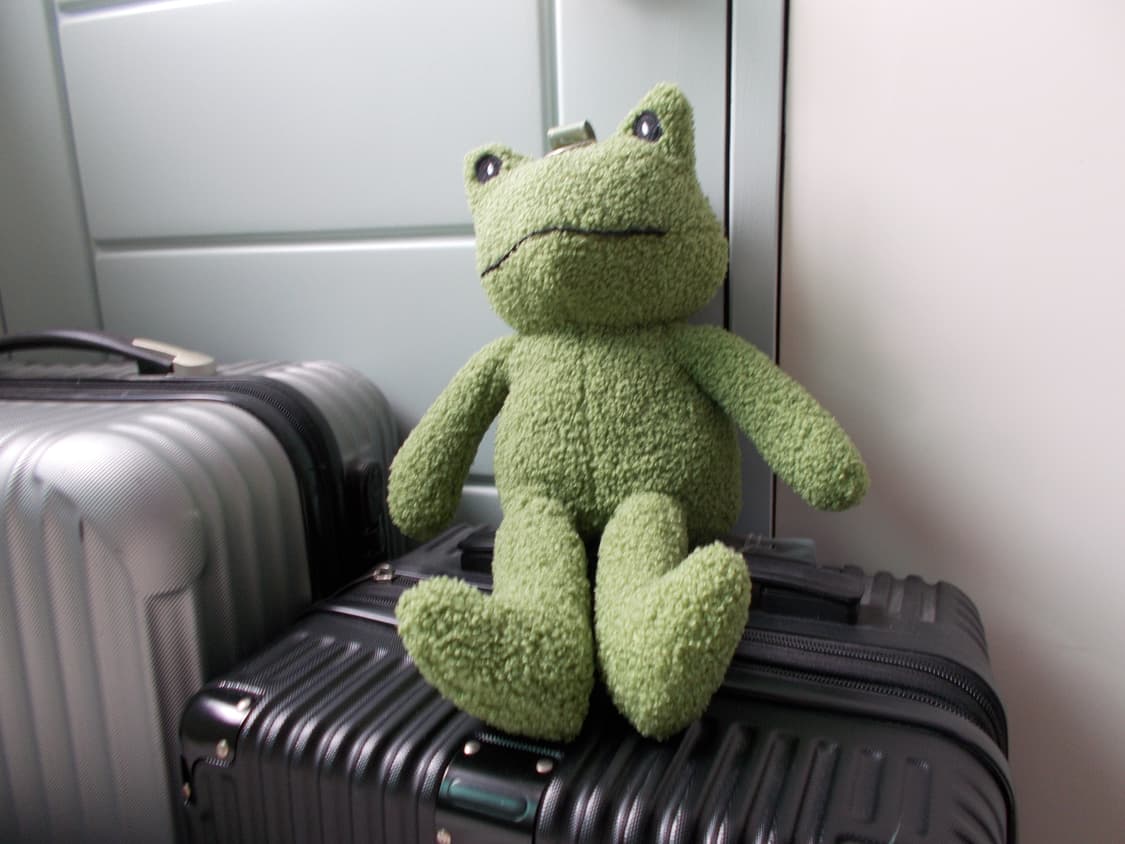 [희귀🍒/바로사용ok] 니콘 쿨픽스 L31 레드❤️ 상품이미지6