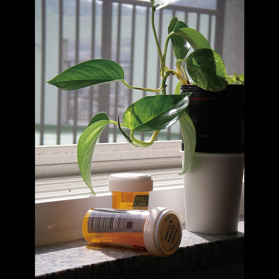 작례⭕️ 펜탁스 옵티오 W10 Optio W10 소프트포커스 O 뽀용  상품이미지8