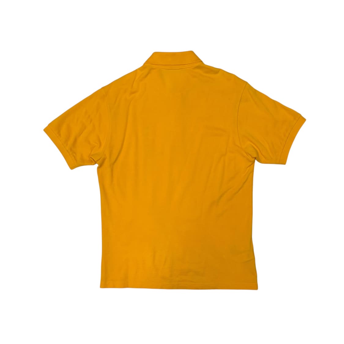 Lacoste x polaroid 라코스테 x 폴라로이드 콜라보 M 상품이미지4