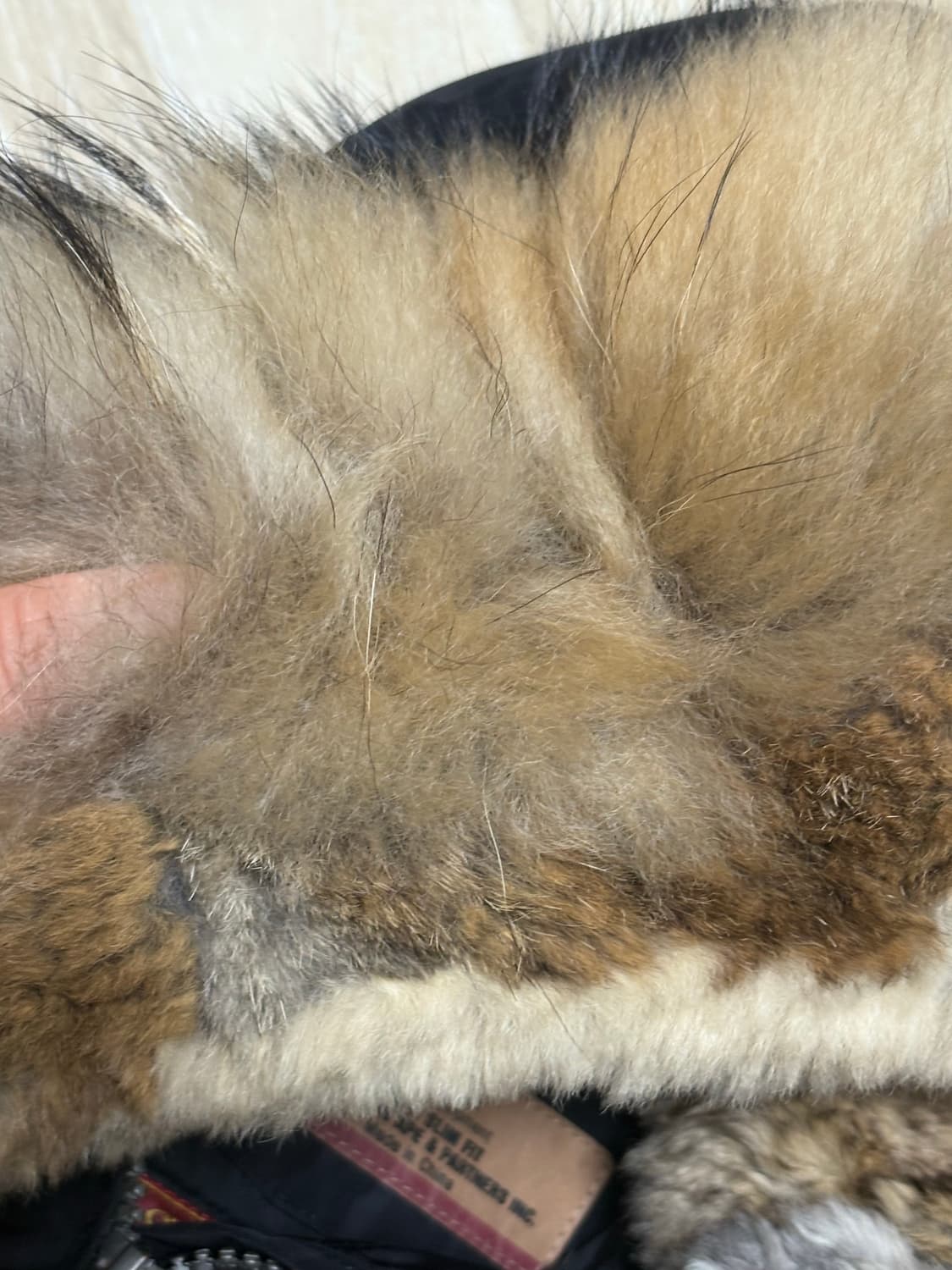 파라점퍼스 괴물퍼 고비 여성 패딩  상품이미지3